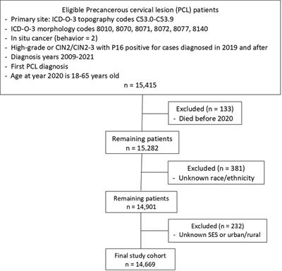 Racial/ethnic and socioeconomic disparities in COVID-19 infections among working-age women with precancerous cervical lesion in Louisiana: analysis of more than two years of COVID-19 data